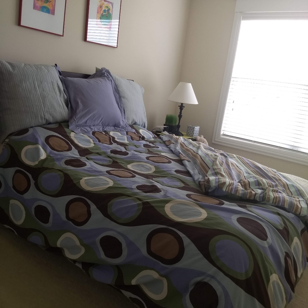 Full/Queen reversable duvet w/sheets